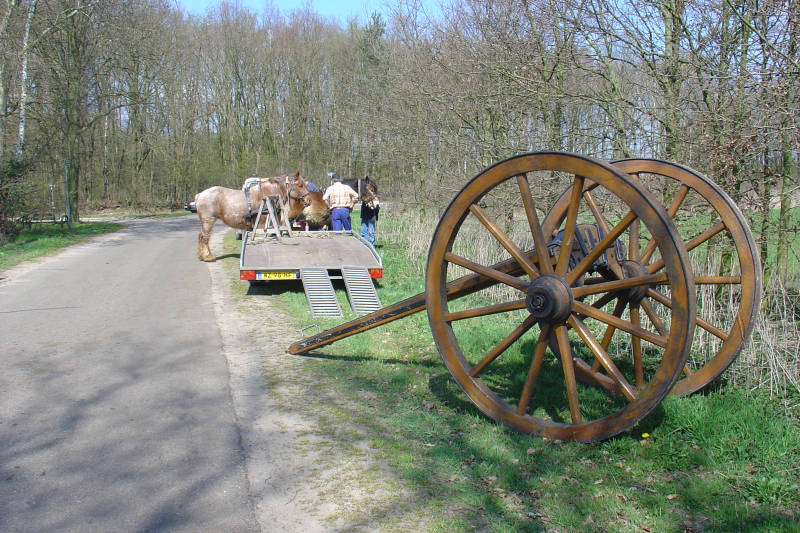 boom uit het bos slepen met mallejan