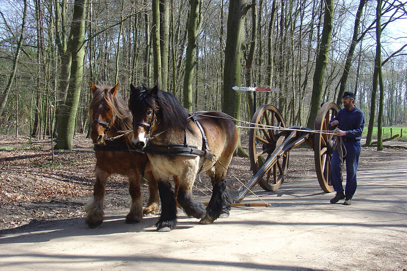 boom uit het bos slepen met mallejan