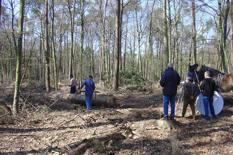 boom uit het bos slepen met mallejan