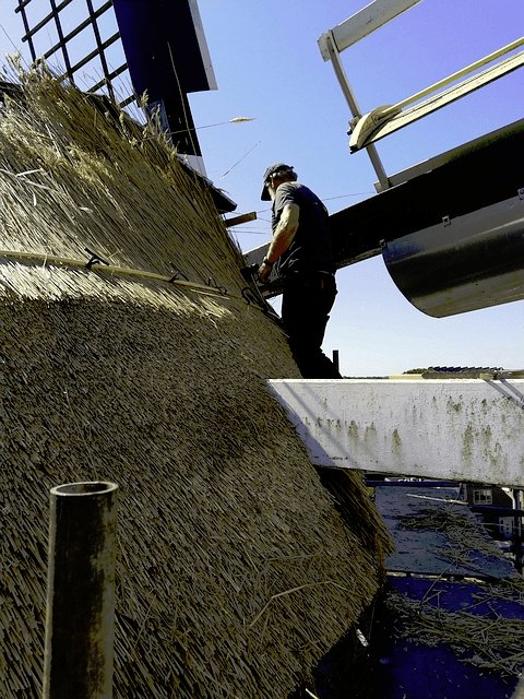 rietdekkers brengen nieuwe rieten kap aan