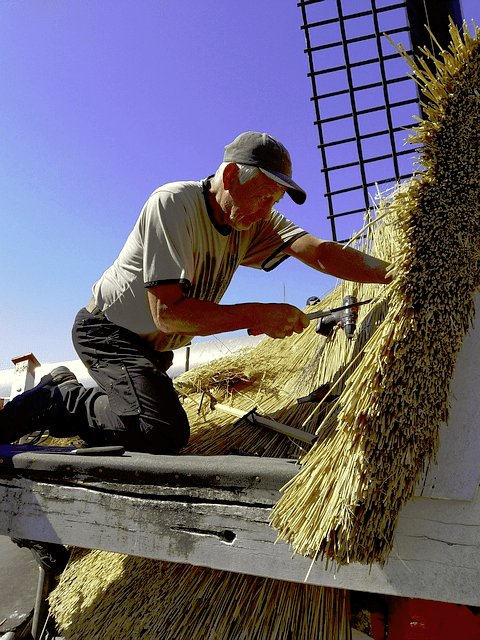 rietdekkers brengen nieuwe rieten kap aan